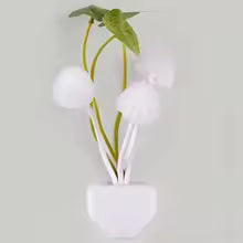 GlowShroom | Mushroom Night Light